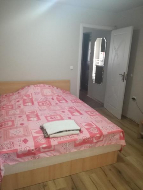 Apartament Malomir